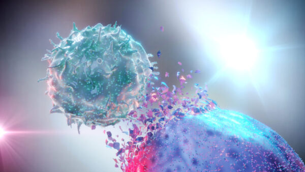 image of NK cell